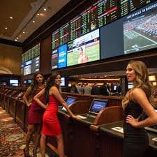 z11bet z11bet